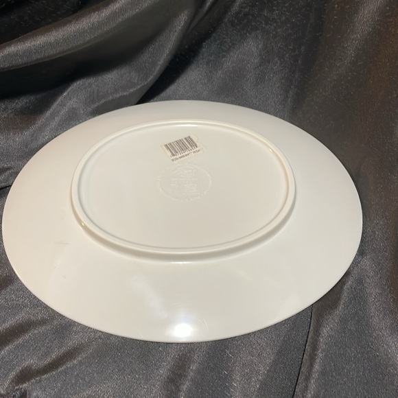 Authentic Scooby Doo Platter Plate blue green Hanna Barbara Gift Collectible - Picture 4 of 5